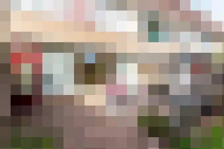 Karveel 20 20 3 Lelystad thumbnail 29