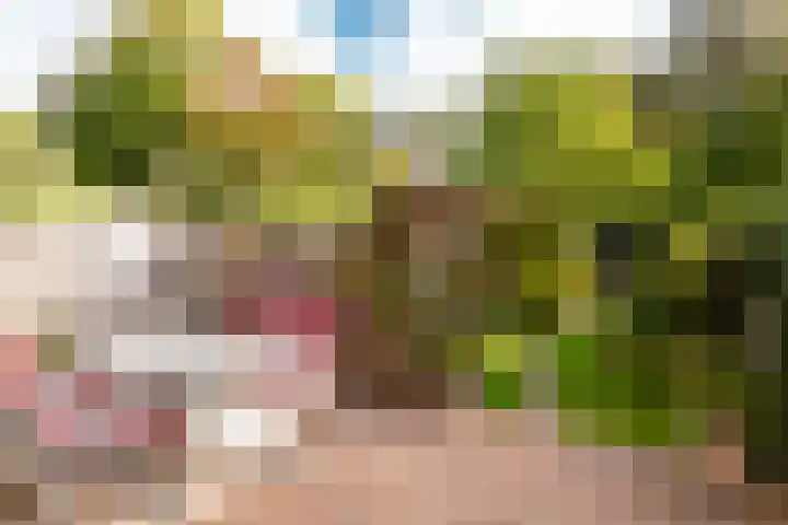 Karveel 20 20 3 Lelystad thumbnail 30