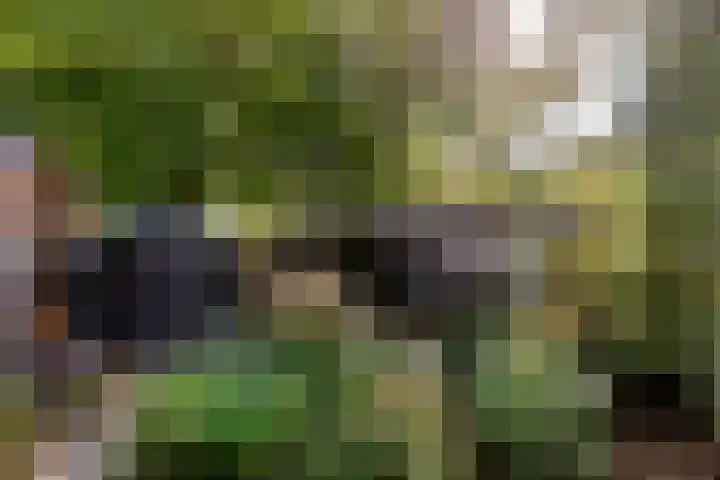 Karveel 20 20 3 Lelystad thumbnail 32