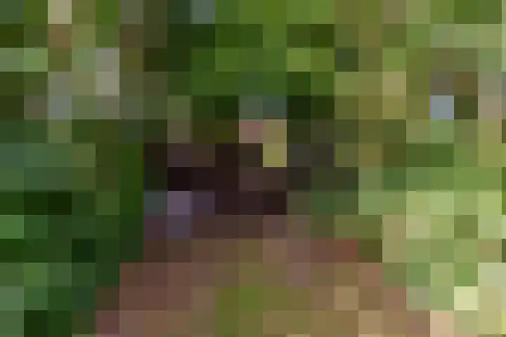 Karveel 20 20 3 Lelystad thumbnail 34