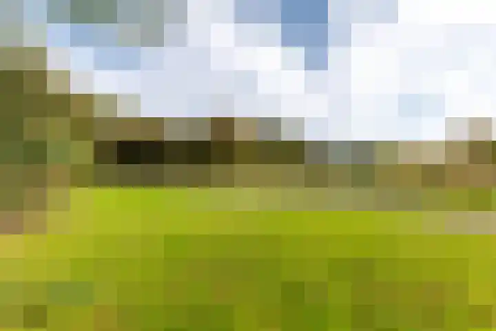 Karveel 20 20 3 Lelystad thumbnail 35