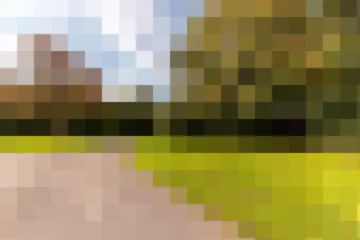 Karveel 20 20 3 Lelystad thumbnail 36