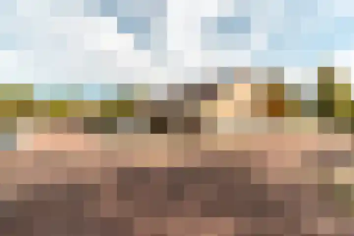 Karveel 20 20 3 Lelystad thumbnail 37