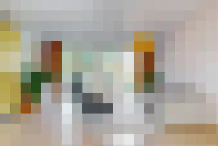 Karveel 20 Uithoorn thumbnail 13