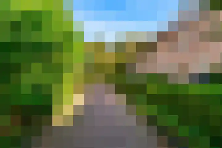 Karveel 20 Uithoorn thumbnail 16