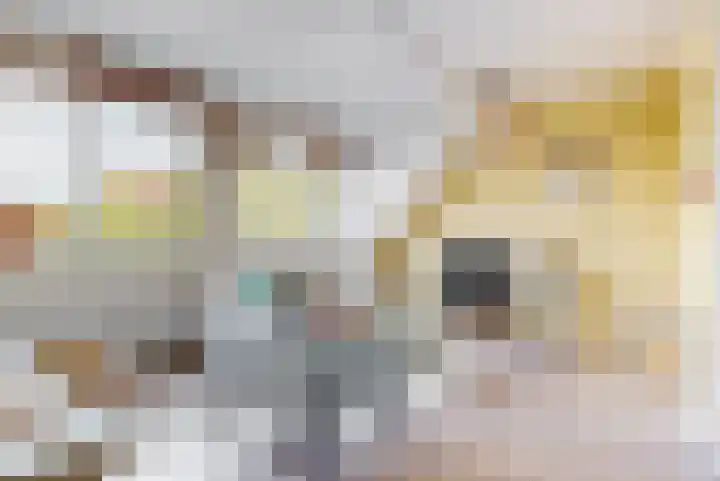 Karveel 20 Uithoorn thumbnail 6