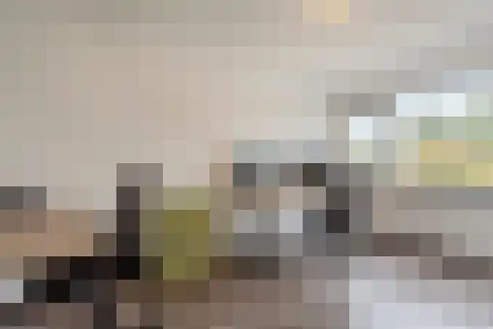 Karveel 22 13 Lelystad thumbnail 33