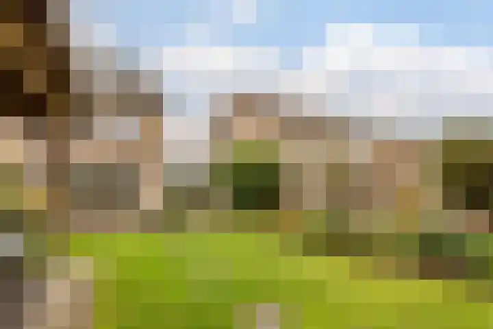 Karveel 22 13 Lelystad thumbnail 50