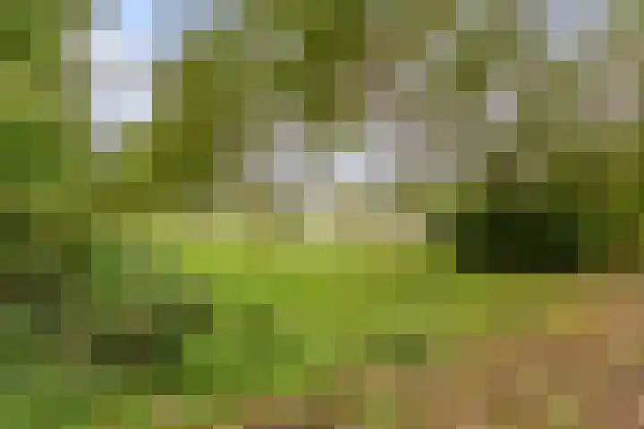 Karveel 22 13 Lelystad thumbnail 60