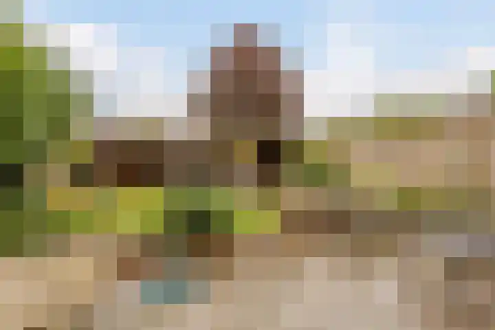 Karveel 22 22 13 Lelystad thumbnail 46