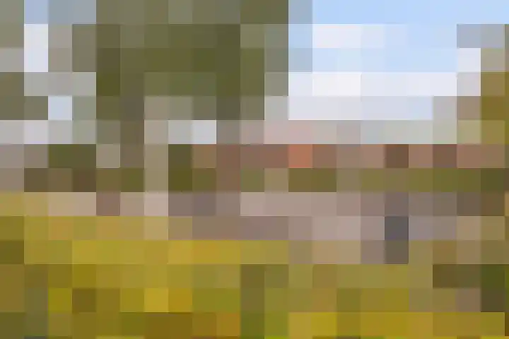 Karveel 22 22 13 Lelystad thumbnail 57