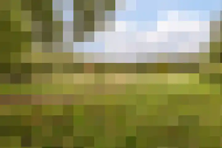 Karveel 22 22 13 Lelystad thumbnail 61