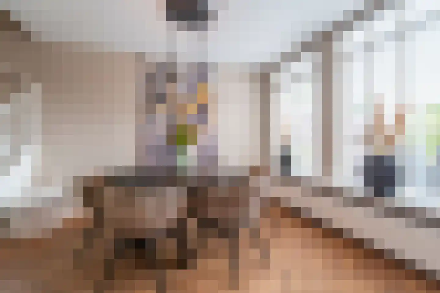 Karveel 22 Veenendaal thumbnail 10