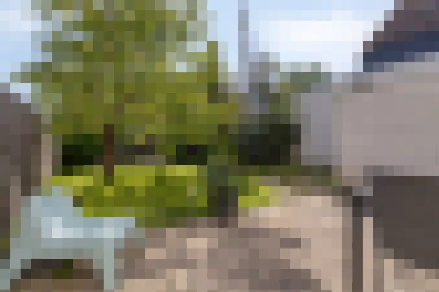 Karveel 39 39 39 Lelystad thumbnail 25