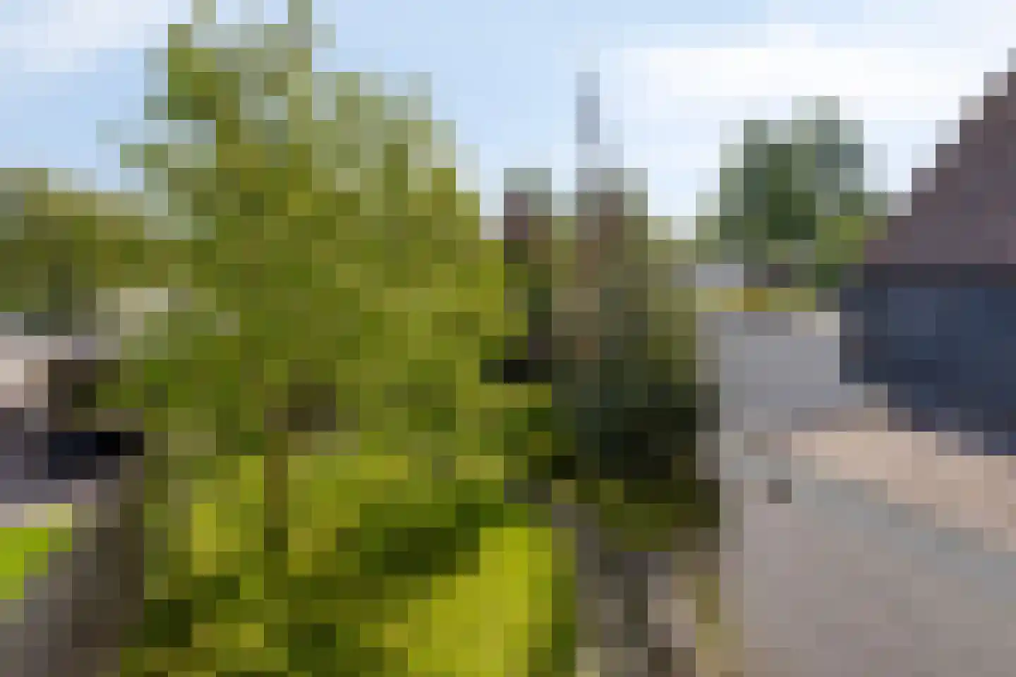 Karveel 39 39 39 Lelystad thumbnail 29