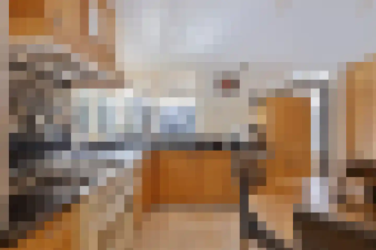 Karveel 4 Volendam thumbnail 11