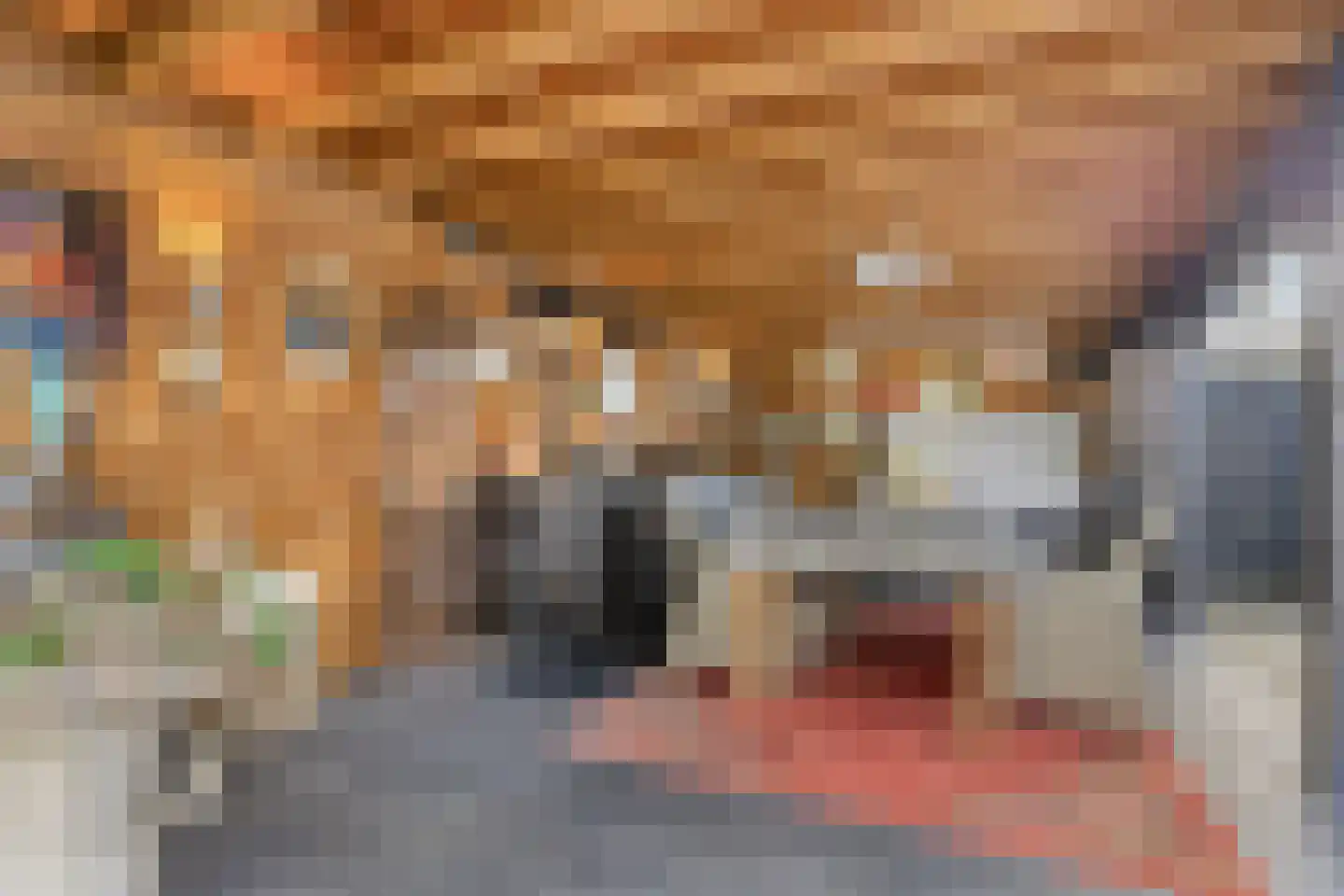 Karveel 4 Volendam thumbnail 18