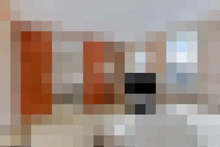 Karveel 4 Volendam thumbnail 24
