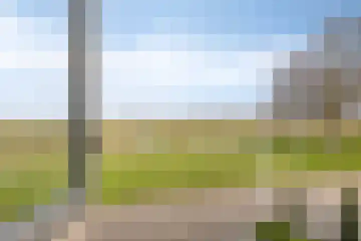 Karveel 4 Volendam thumbnail 27