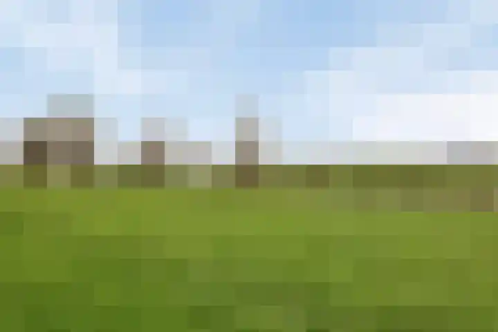 Karveel 4 Volendam thumbnail 4