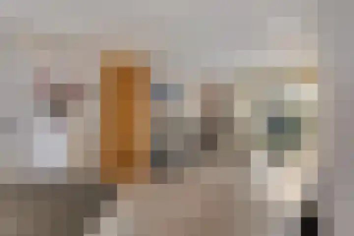 Karveel 4 Volendam thumbnail 7