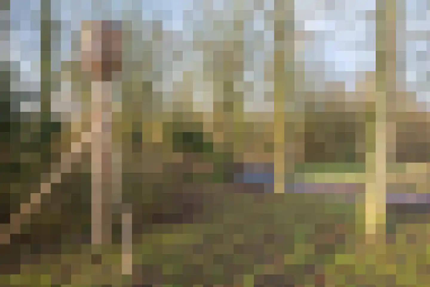 Karveel 43 60 Lelystad thumbnail 38