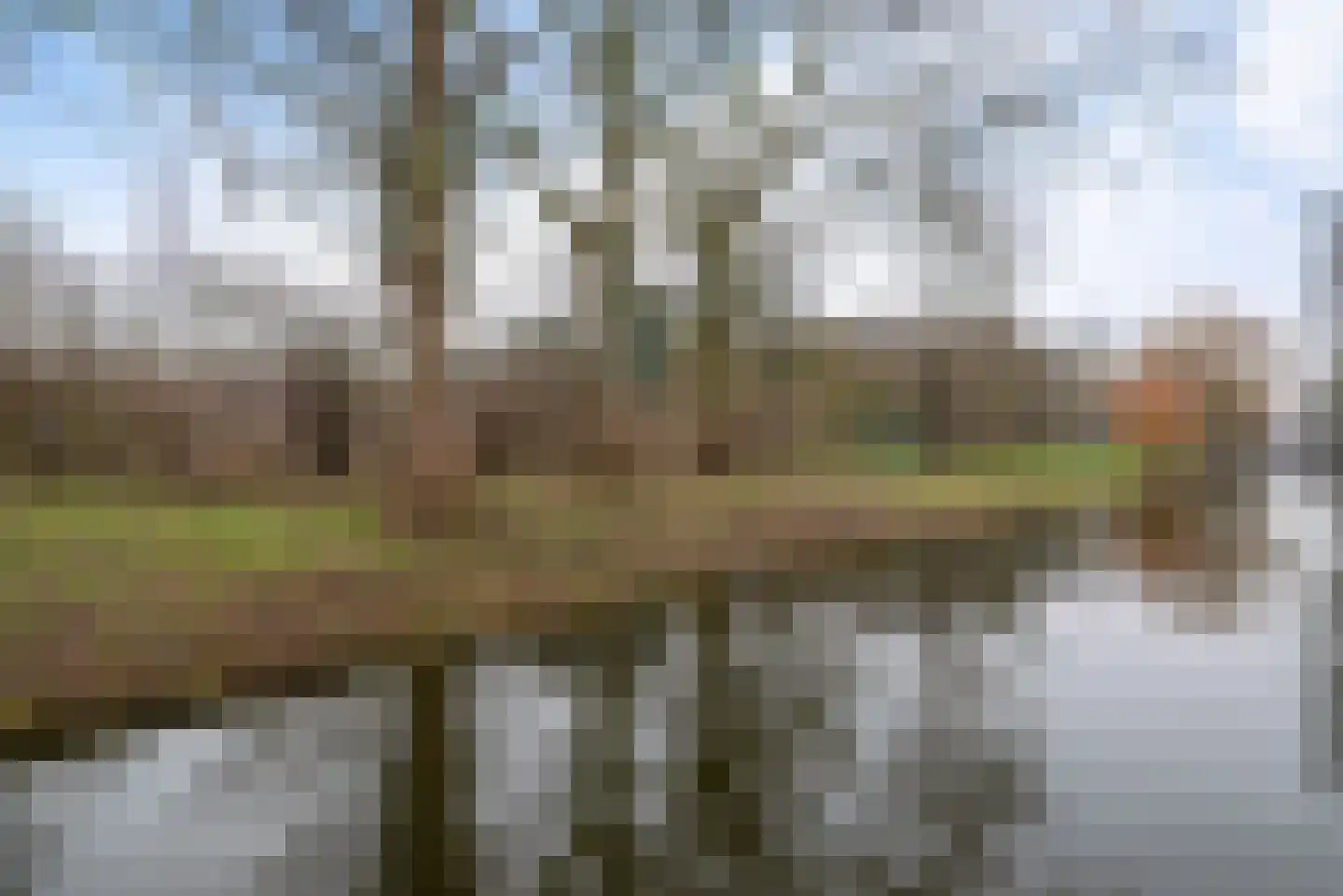 Karveel 43 Hoorn thumbnail 39