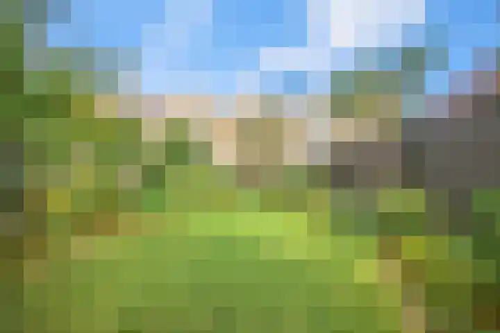 Karveel 45 10 Lelystad thumbnail 4