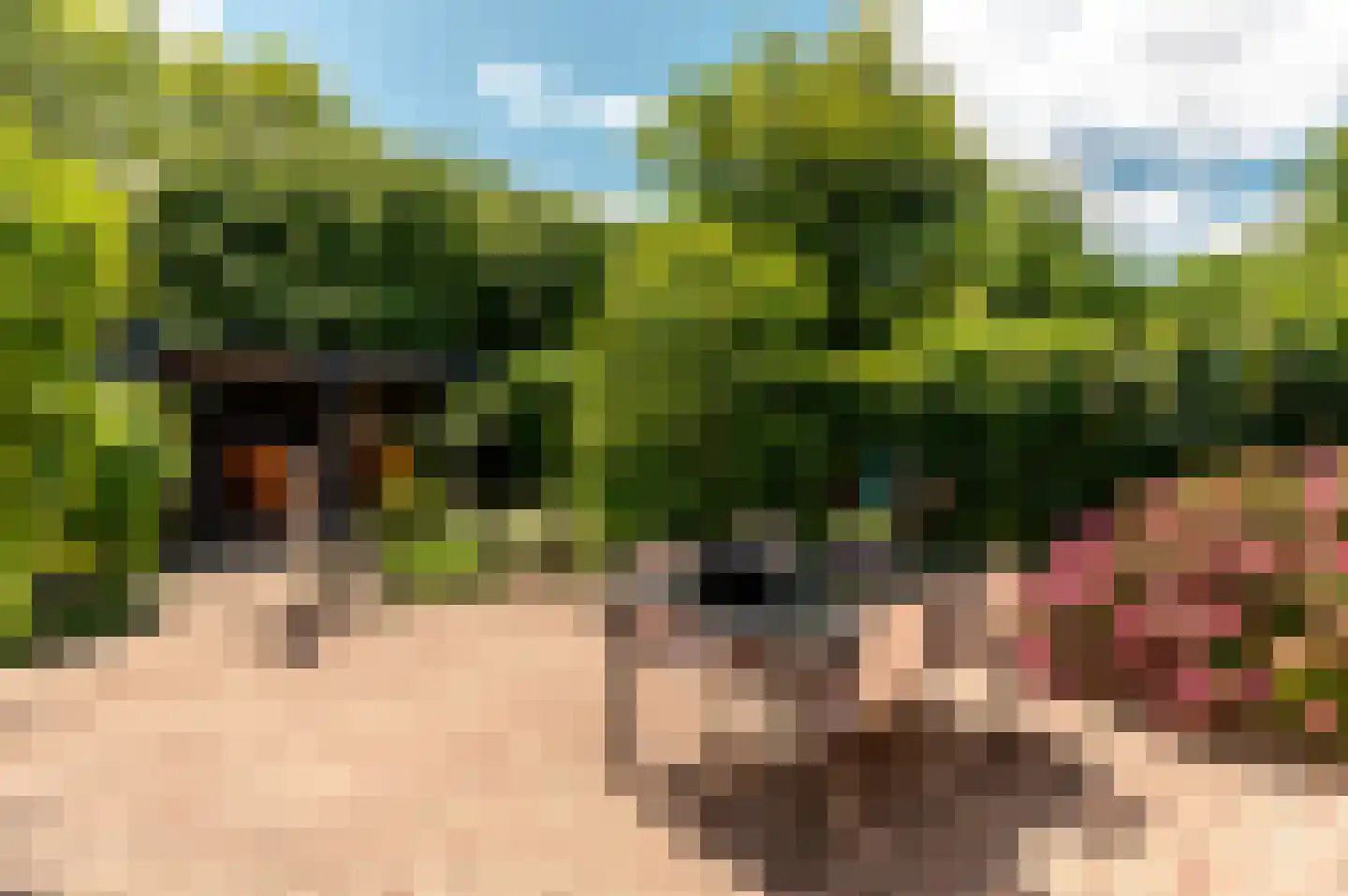 Karveel 45 26 Lelystad thumbnail 36