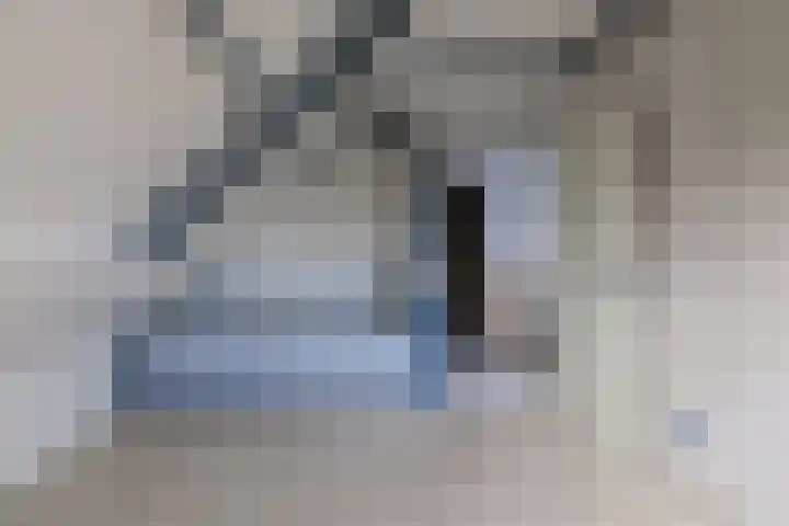 Karveel 46 46 46 Lelystad thumbnail 36
