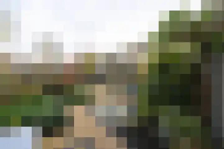 Karveel 46 46 46 Lelystad thumbnail 4