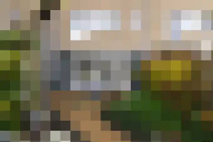 Karveel 46 46 46 Lelystad thumbnail 45