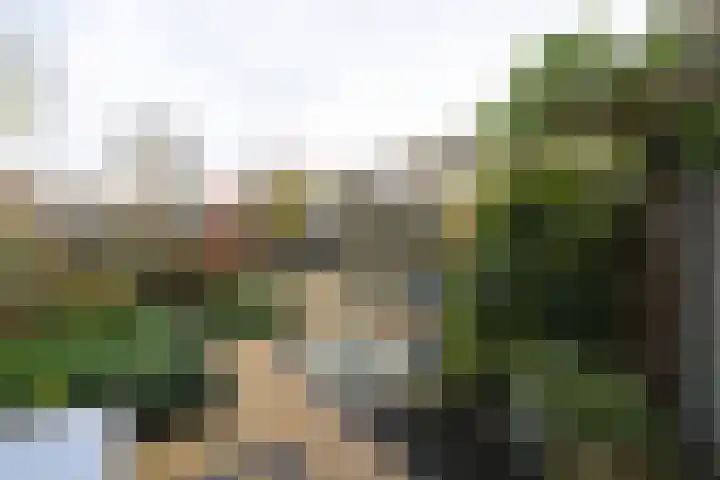 Karveel 46 46 Lelystad thumbnail 40