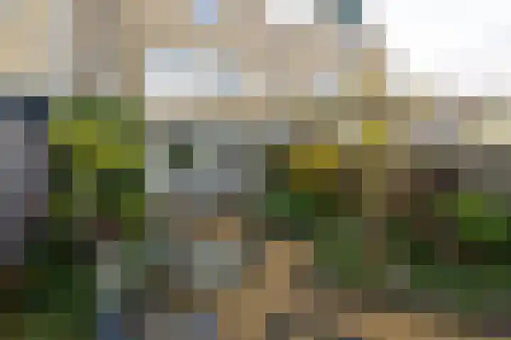 Karveel 46 46 Lelystad thumbnail 44