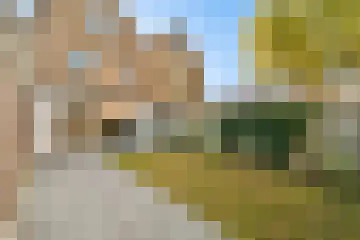 Karveel 46 68 Lelystad thumbnail 10