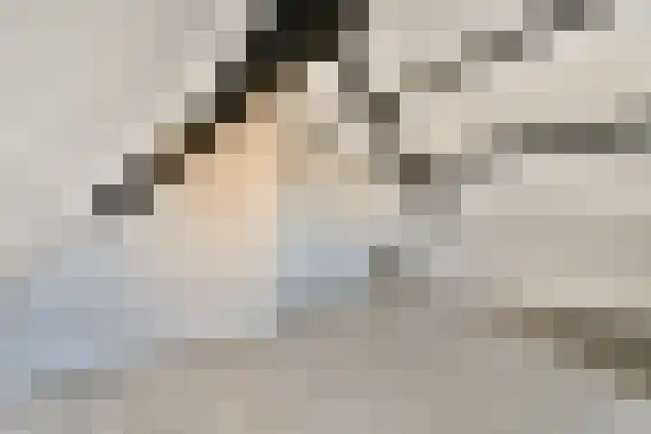 Karveel 46 68 Lelystad thumbnail 30