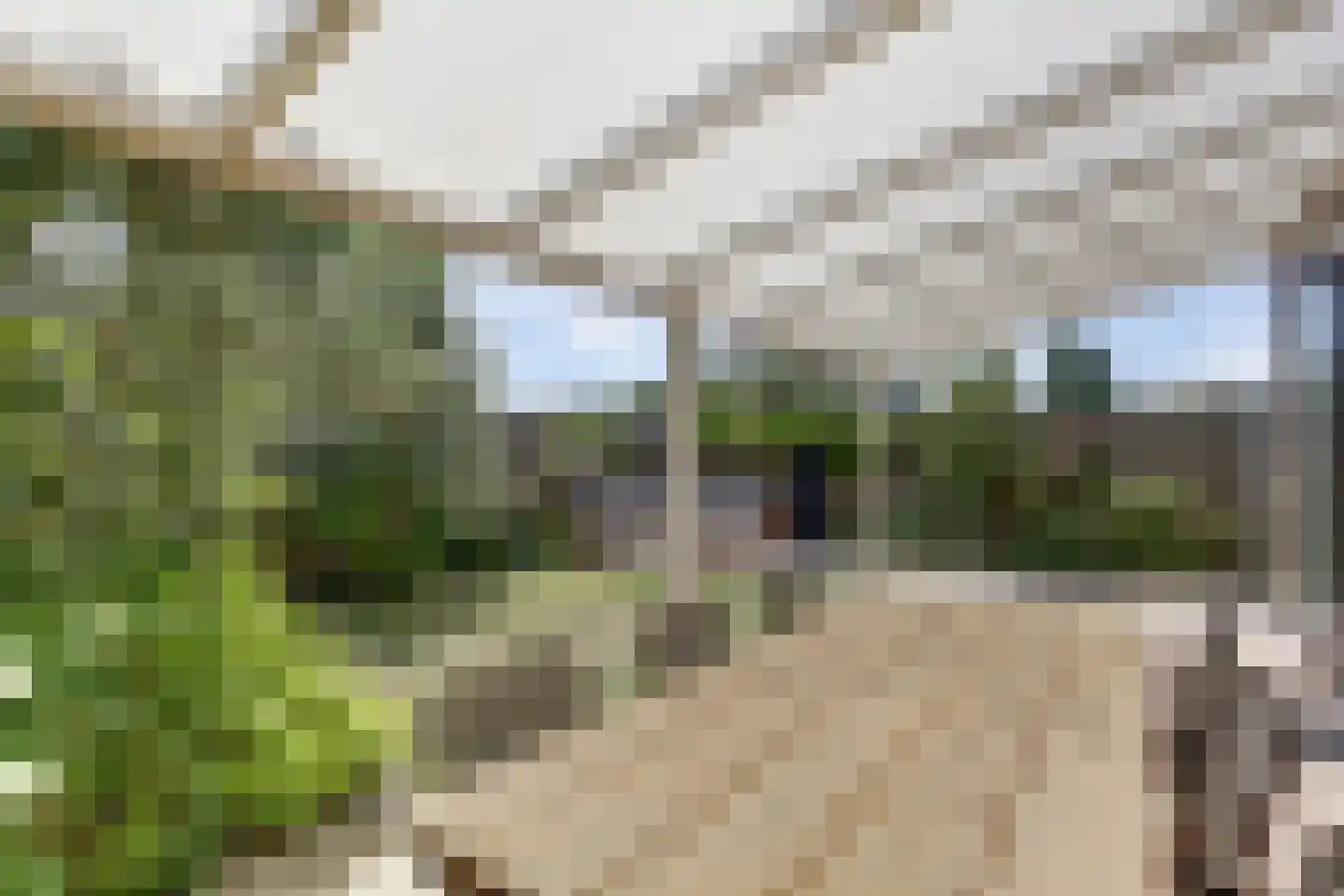 Karveel 49 40 Lelystad thumbnail 35