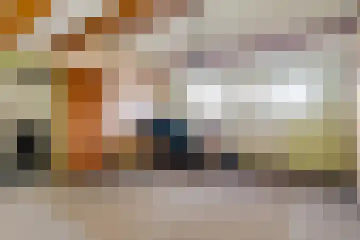 Karveel 49 49 2 Lelystad thumbnail 26