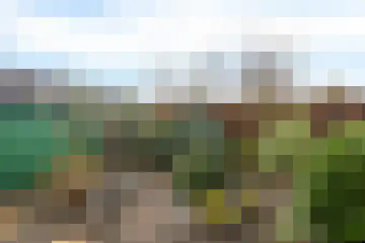Karveel 49 49 2 Lelystad thumbnail 32