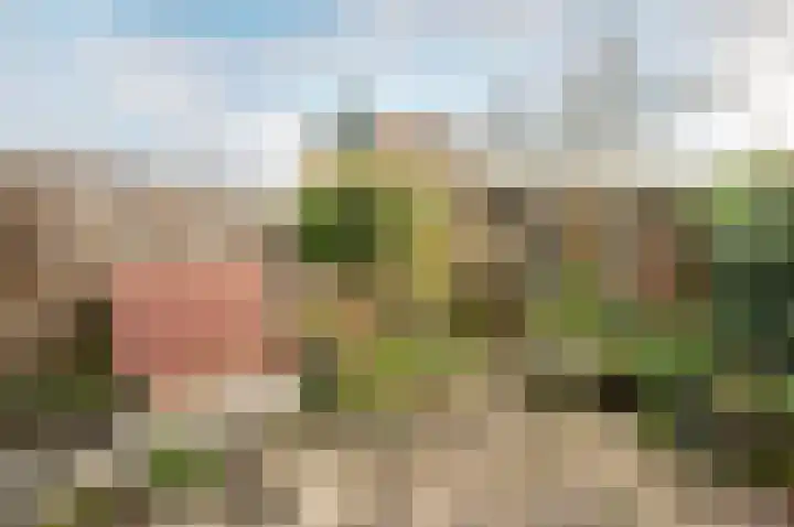 Karveel 49 49 90 Lelystad thumbnail 29