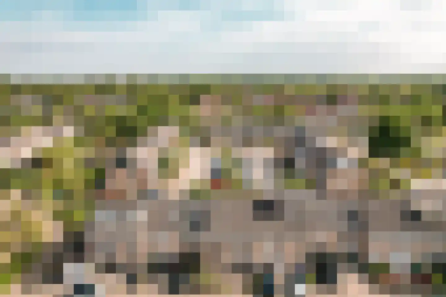 Karveel 49 52 Lelystad thumbnail 38