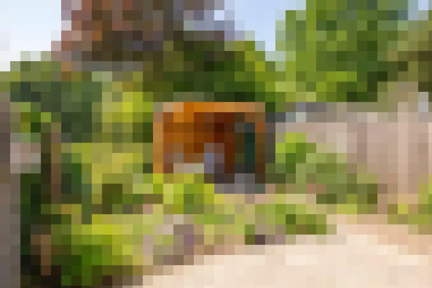 Karveel 49 91 Lelystad thumbnail 35
