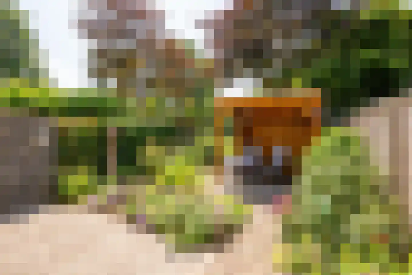 Karveel 49 91 Lelystad thumbnail 37