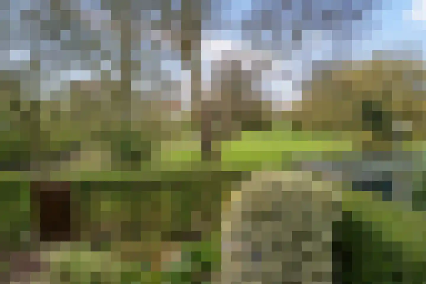 Karveel 50 18 Lelystad thumbnail 33