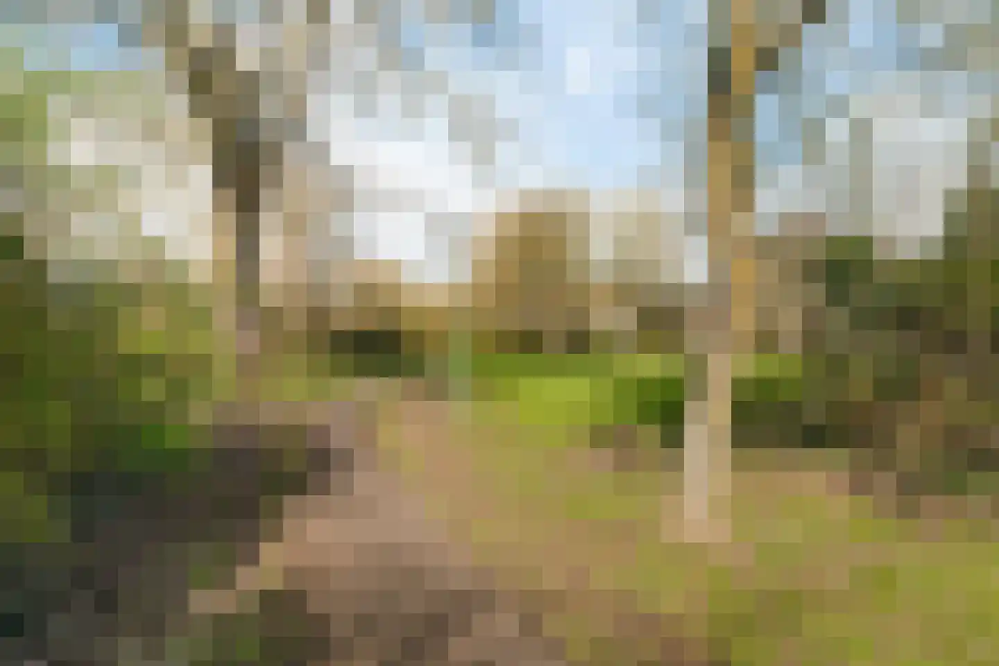 Karveel 50 18 Lelystad thumbnail 38