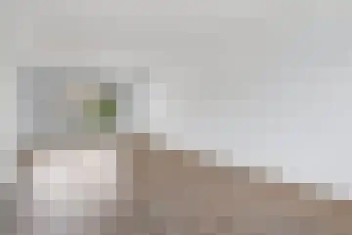 Karveel 50 50 13 Lelystad thumbnail 7