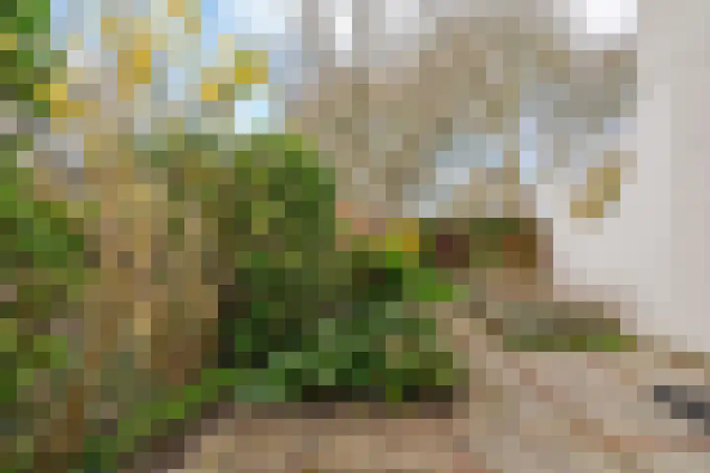 Karveel 50 50 18 Lelystad thumbnail 36