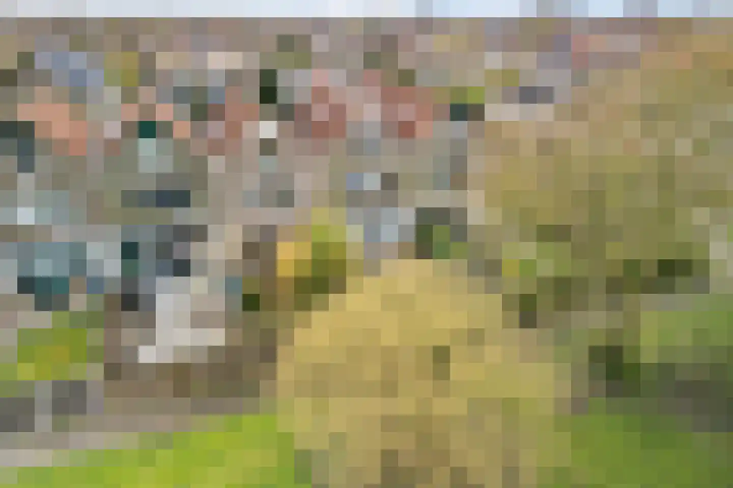 Karveel 50 50 18 Lelystad thumbnail 37