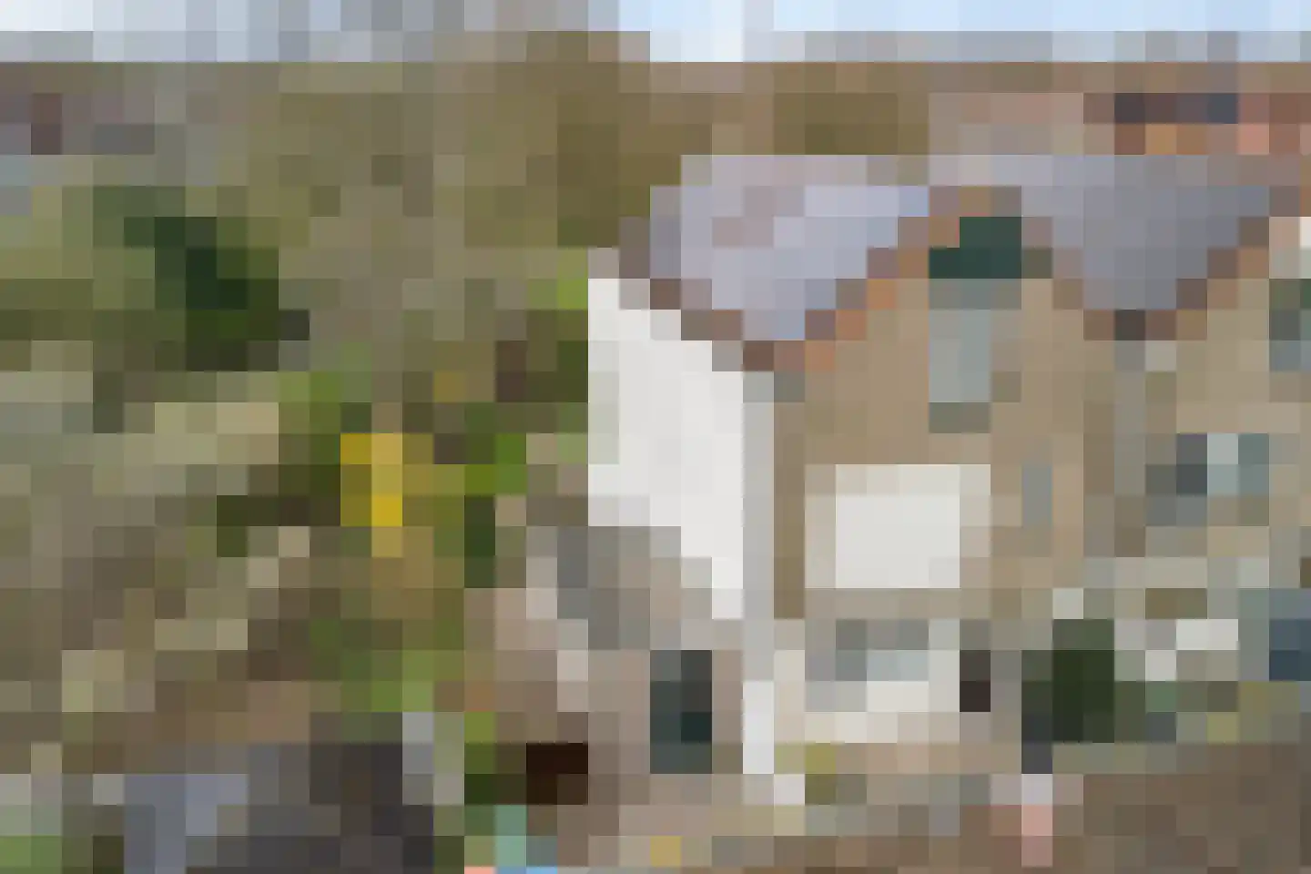 Karveel 50 50 18 Lelystad thumbnail 4