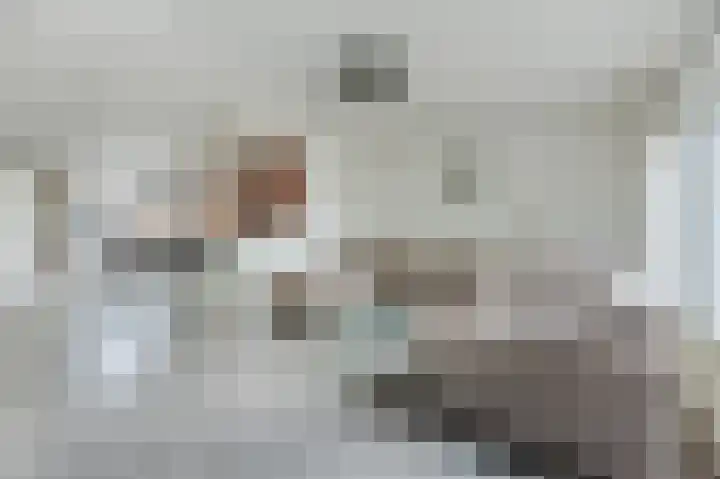Karveel 51 51 44 Lelystad thumbnail 8